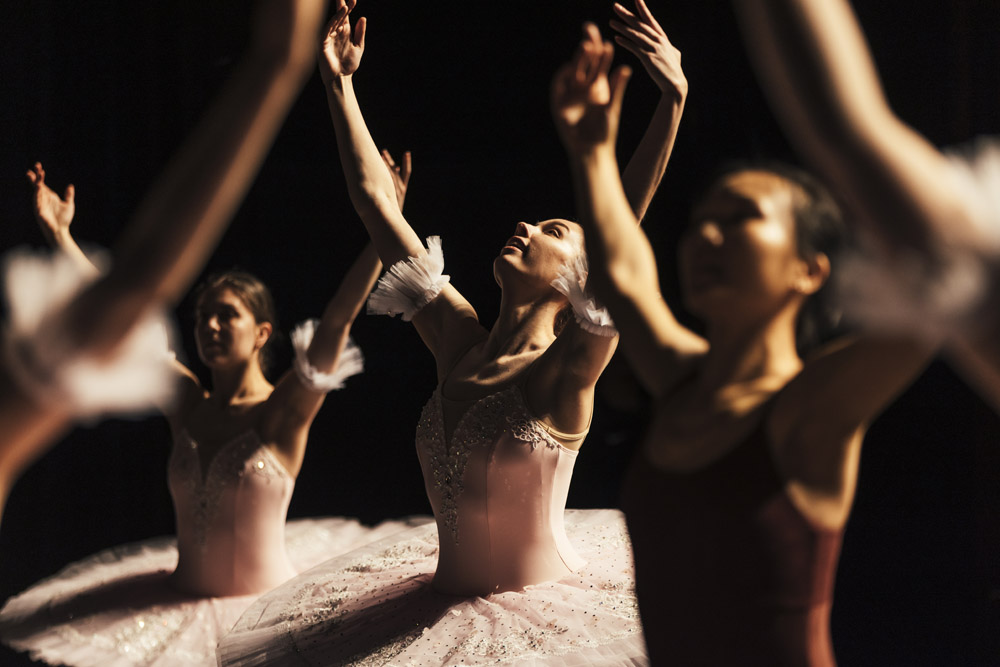 Norddeutsche Tanzwerkstatt Auf und Davon 2024 Ballettschule